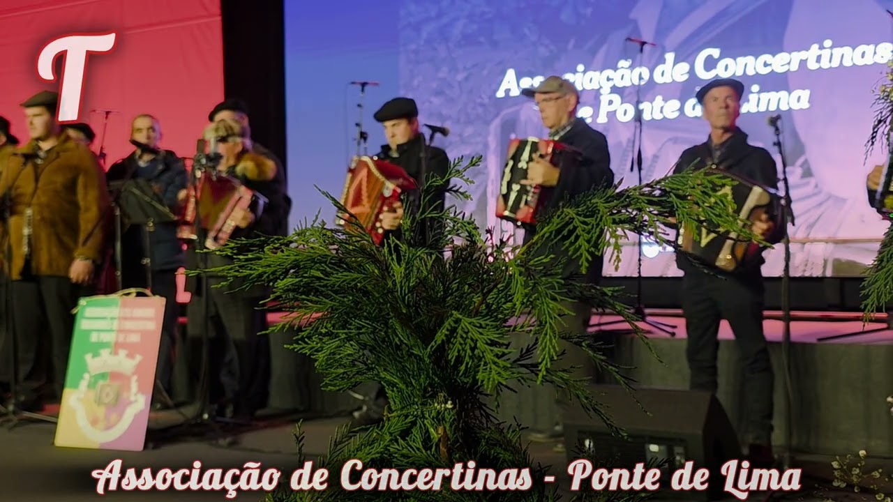 🍀Encontro de Reis Música Animação 🍀