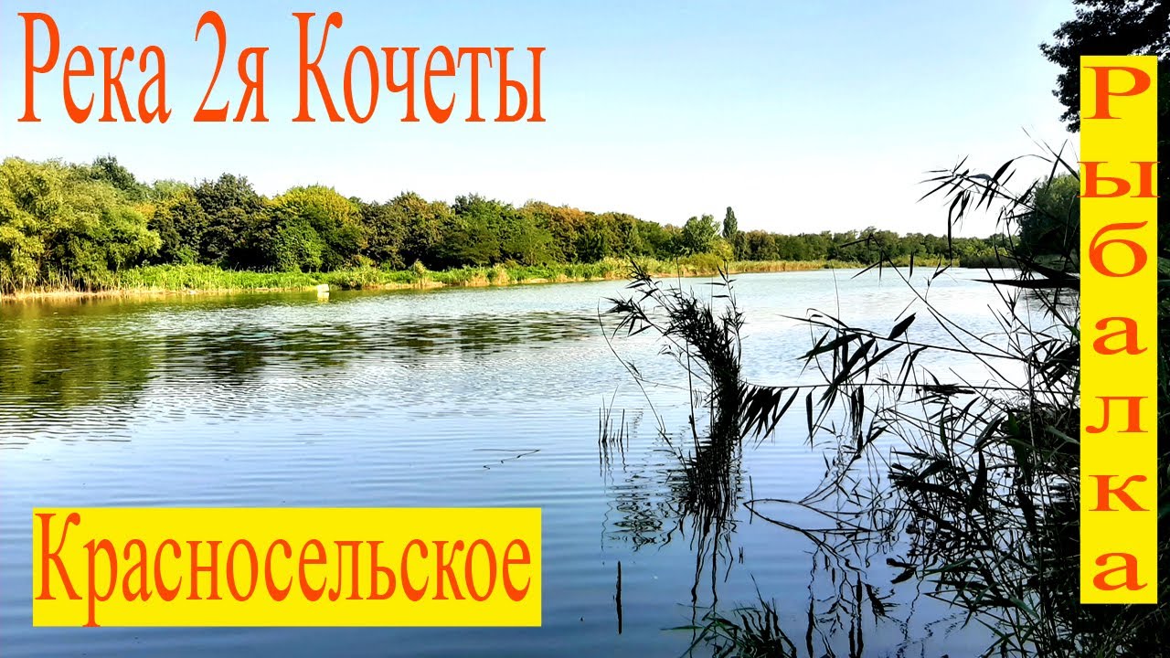 Секретное место на реке 2я Кочеты. Рыбалка, обзор, Красносельское.
