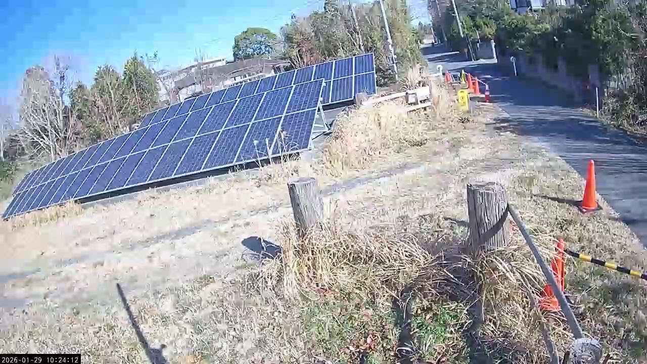 202612910131031E     メス入れて下さい