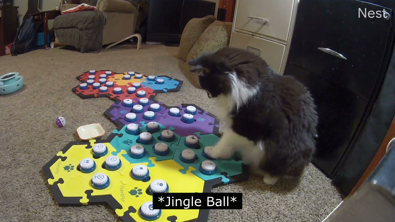 Dad, I Want To Play Jingle Ball By Myself Today