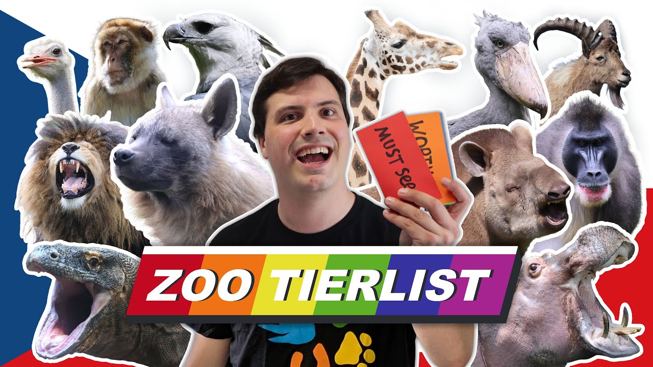 Ranking every Zoo I saw on my Czech Republic Zoo Trip!