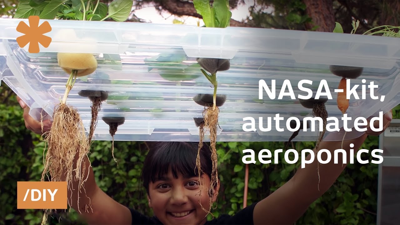 Teens create automated aeroponics garden kit with NASA tech