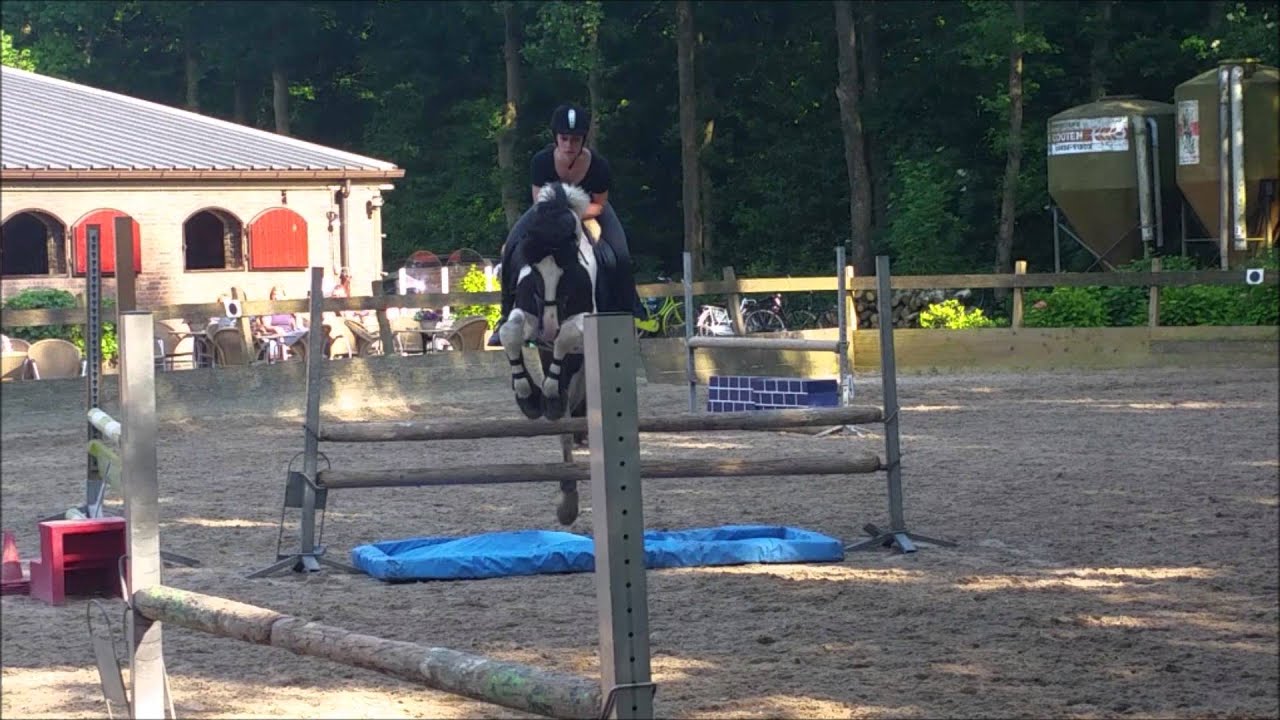 Het Springteam van de Larense Manege