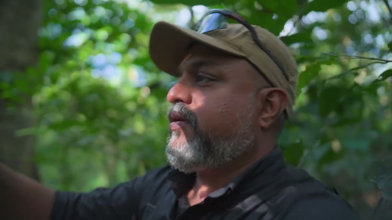 Ep 3 The Dancing Frog of Wayanad | #GoIntoTheWild | #vivoX300Series
