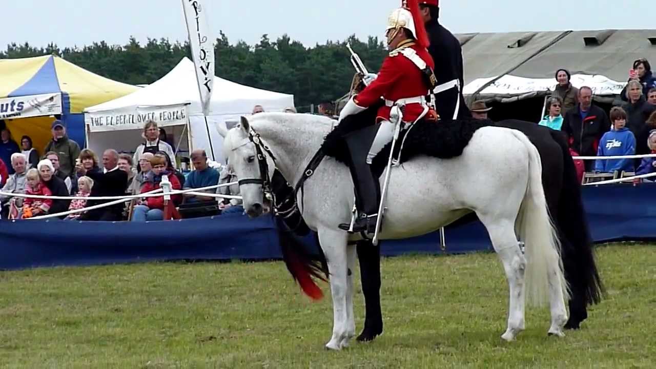 The Musical Ride of The Household Cavalry 2011