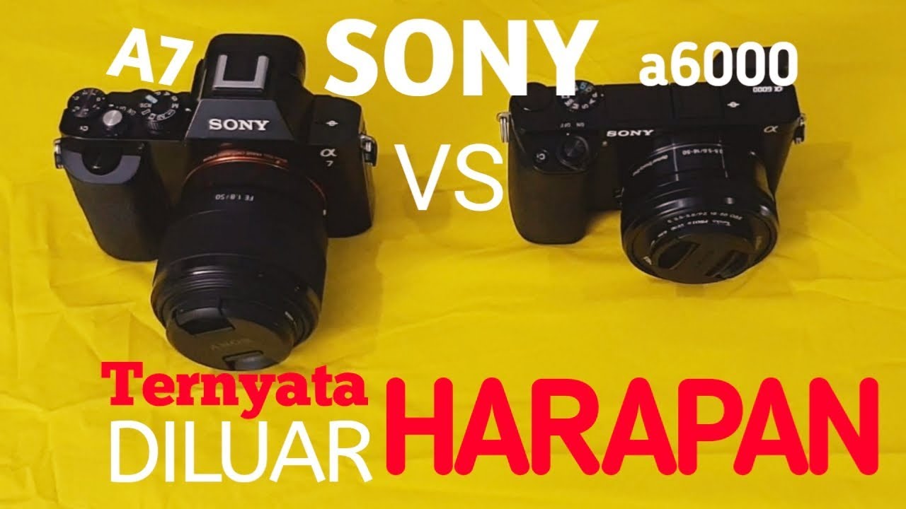 Fullframe VS APSC | Sony Alpha 7 vs Sony Alpha 6000