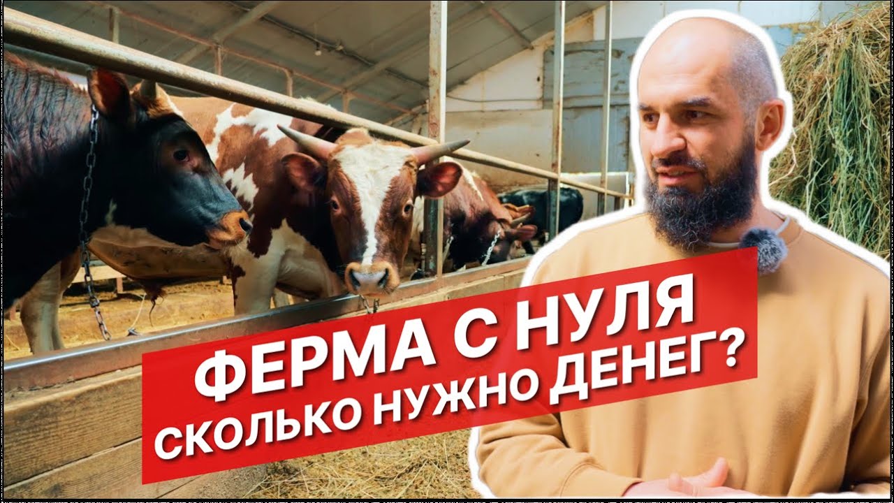Как построить ферму с нуля? | Айрширская порода | Ферма своими руками | Постройка фермы | Агротуризм