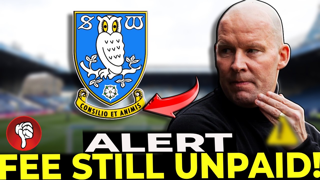 👀 SPLIT AT HILLSBOROUGH AS FANS TURN ON &pound;2 MILLION SIGNING! SHEFFIELD WEDNESDAY NEWS TODAY!