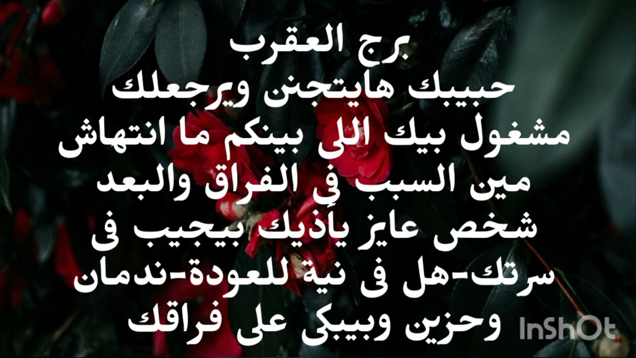 برج العقرب 🥰 حبيبك هايتجنن ويرجعلك مشغول بيك اللى بينكم ما انتهاش ندمان وبيبكى على فراقك 