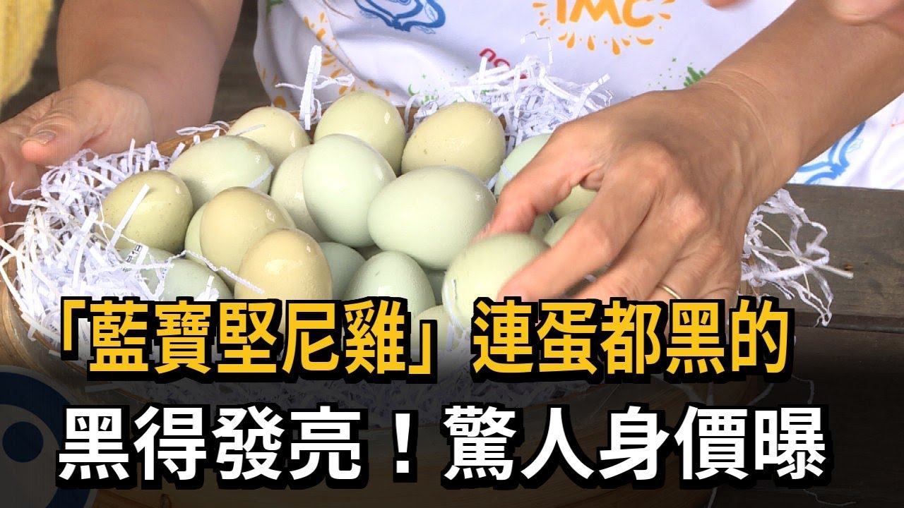 「藍寶堅尼雞」連蛋都黑的　黑得發亮！驚人身價曝－民視新聞