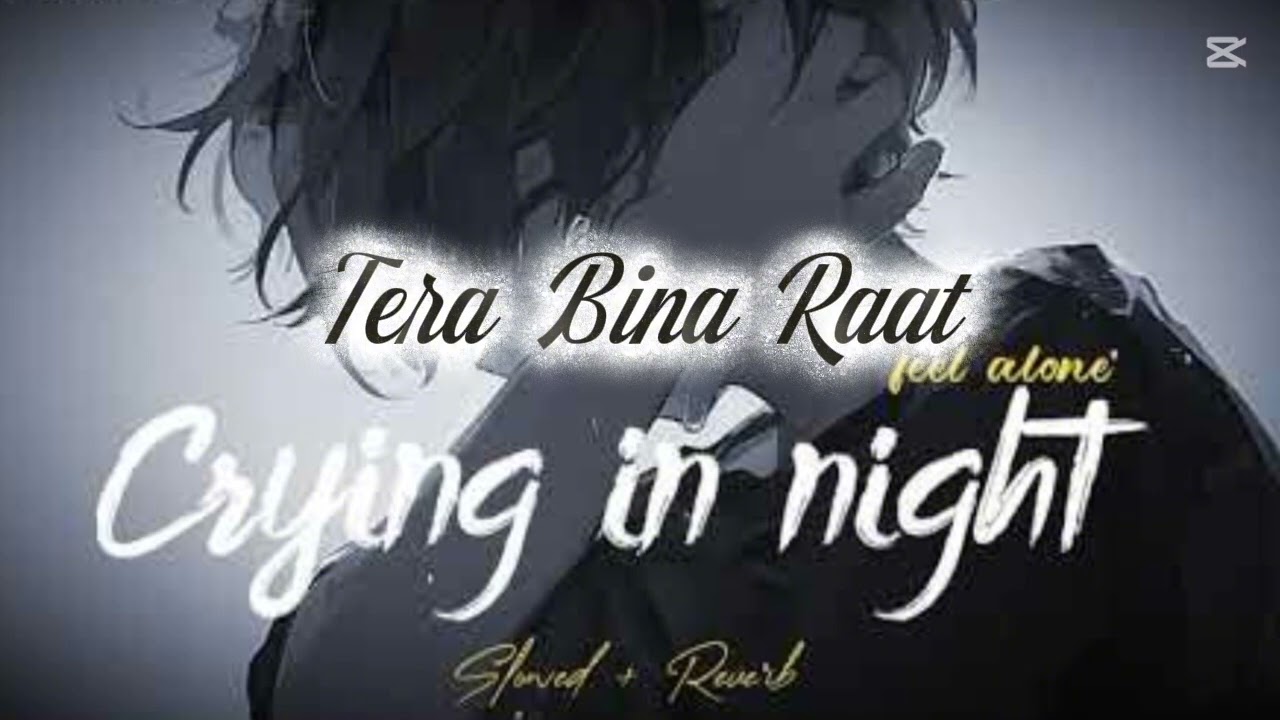 Tere Bina Raat 🖤 | Hindi Emotional Lofi | Slowed + Reverb | Sad Love Song 🎧