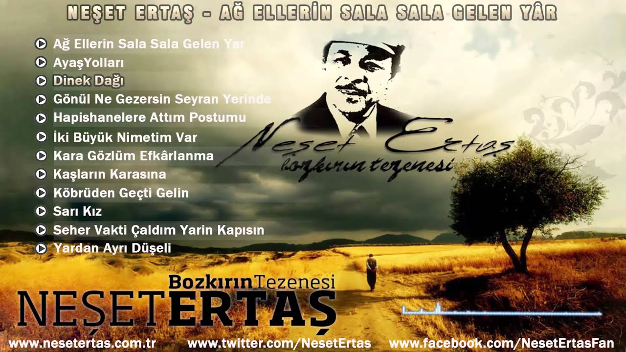 Neşet Ertaş - Dinek Dağı