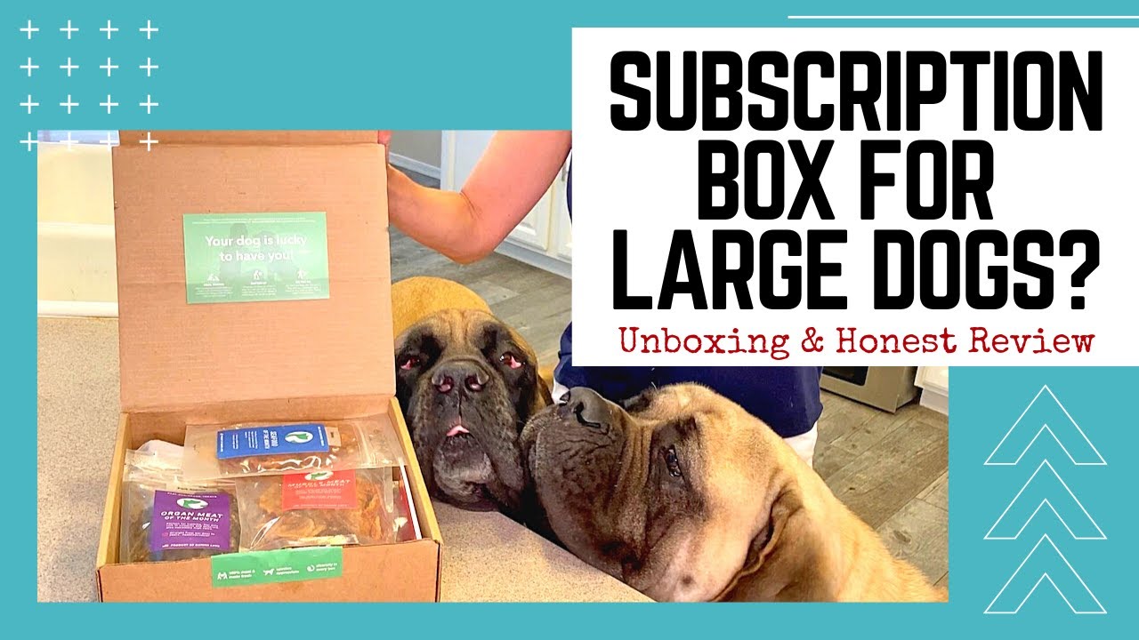 Dog Subscription Box Unboxing and FULL Real Dog Box Review For Large Dogs