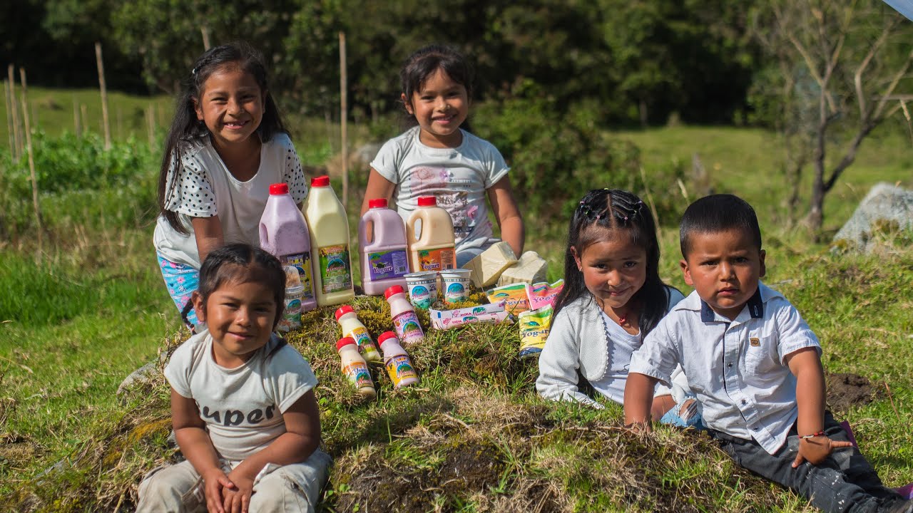 Industria Comunitaria..Empresa de leche en transformaci&oacute;n..Tacuey&oacute; Cauca Nasalac