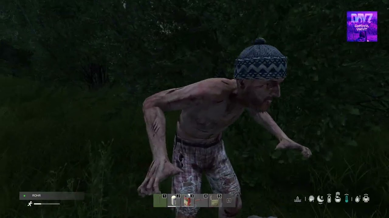 DayZ IntenZ Livonia SCHEISS FREUNDLICHKEIT