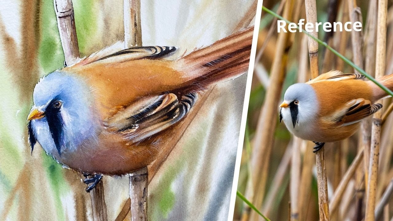 How to paint an exotic Bird in Watercolors