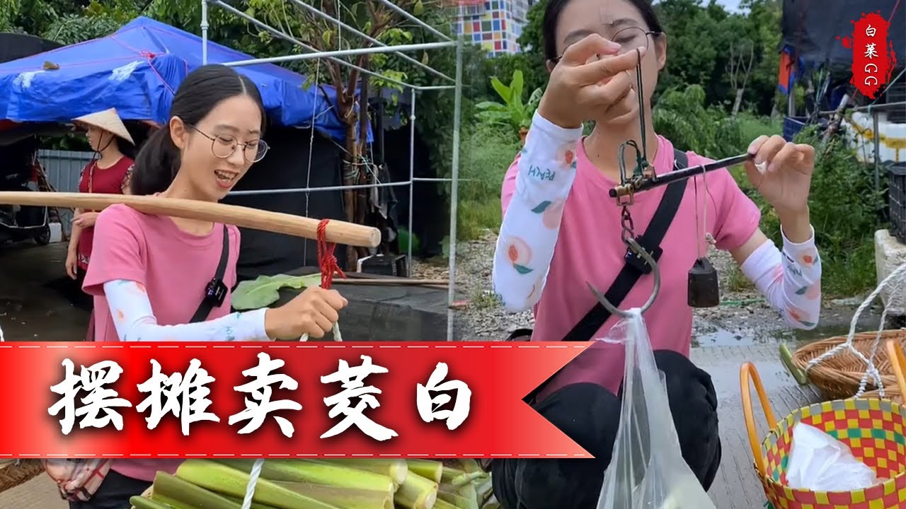今天挑了70斤交白去擺攤，雖然天下起了雨，可是也阻擋不了父老鄉親們樂呵呵的心情 #農村生活 #新農人 #美食 #白菜GG