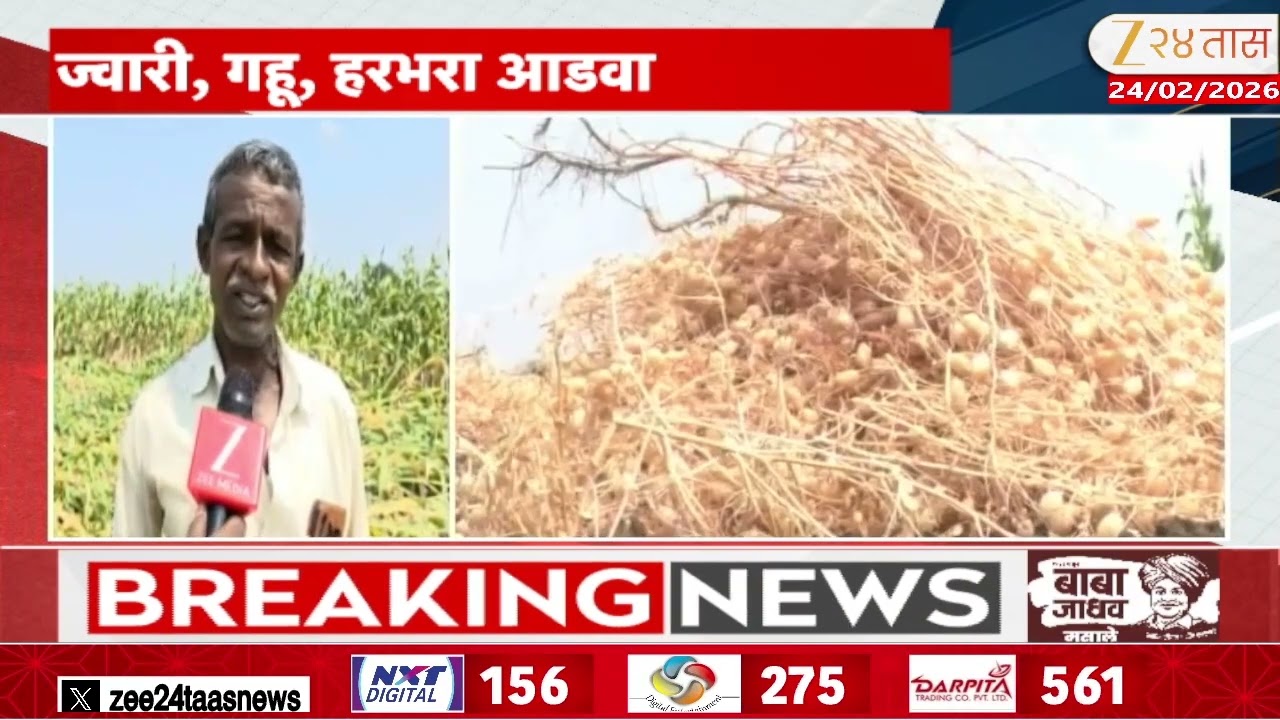 Special Report On Nanded Rain अवकाळी पावसाने शेतात स्वप्नांचा चिखल झाला; सांगा बळीराजानं कसं जगायचं?