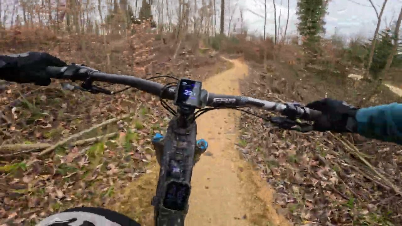 Gempen Nord Trail – First Section | Super Flowy Forest Ride 🇨🇭
