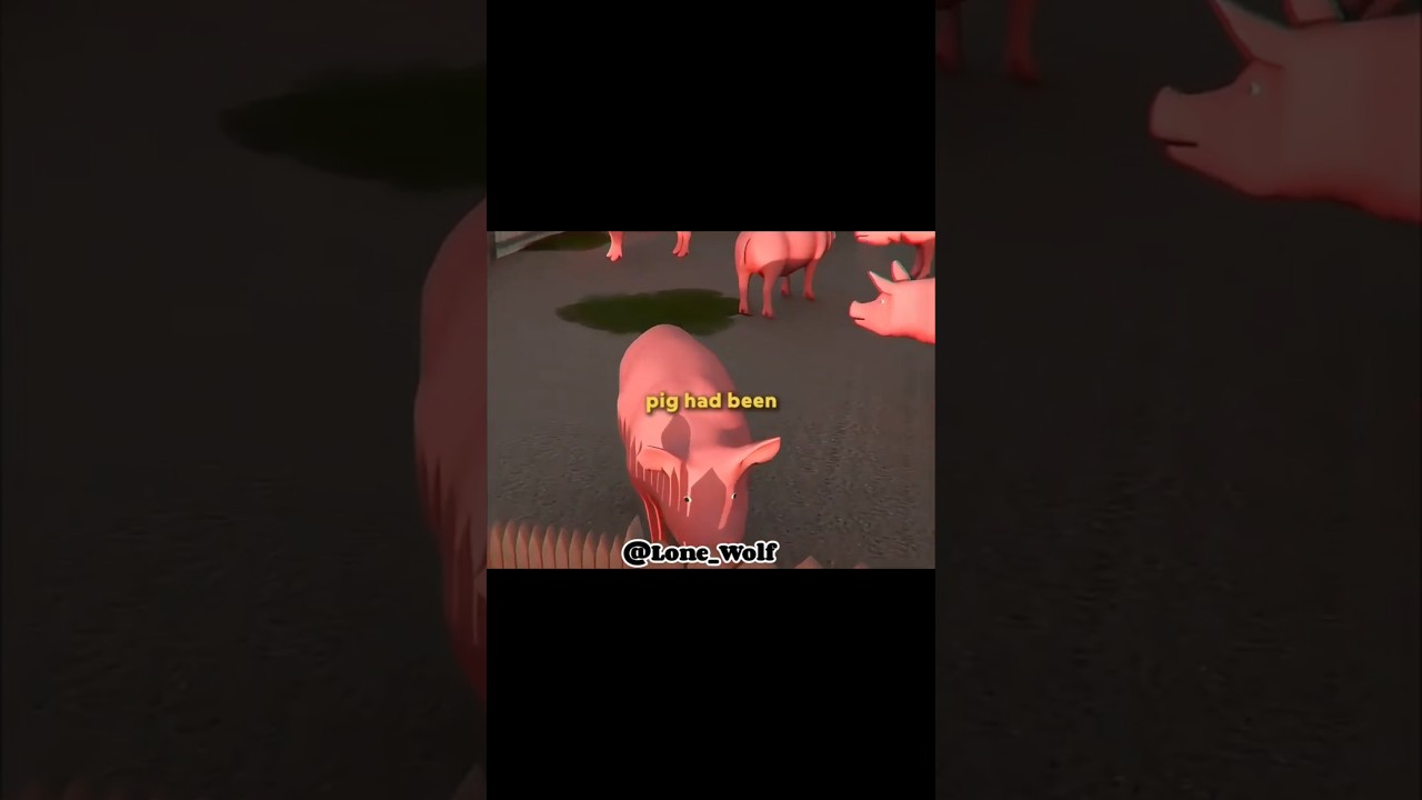 A pig crush on me. #youtubeshorts #shortvideo #shorts #music #usa