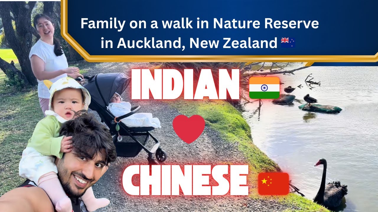 Our Baby Girl Saw Black Swans Up Close | Auckland Nature Reserve Family Vlog | Indian Chinese Vlogs