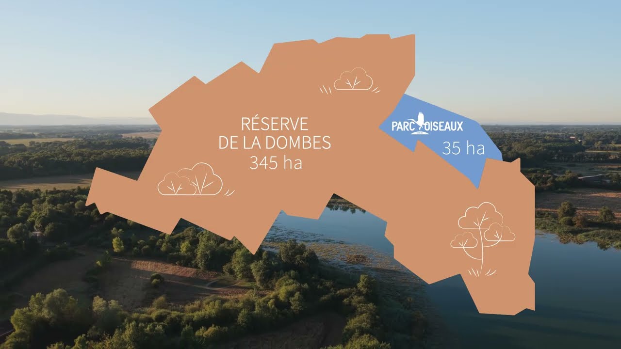 Des Ailes à Notre Futur - Mécénat