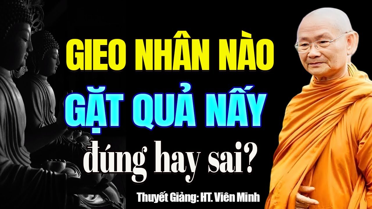 Sống Ở Đời Luật Nhân Quả không Chừa Một Ai , Gieo Nhân Nào Gặt Quả Nấy - HT. Thích Viên Minh