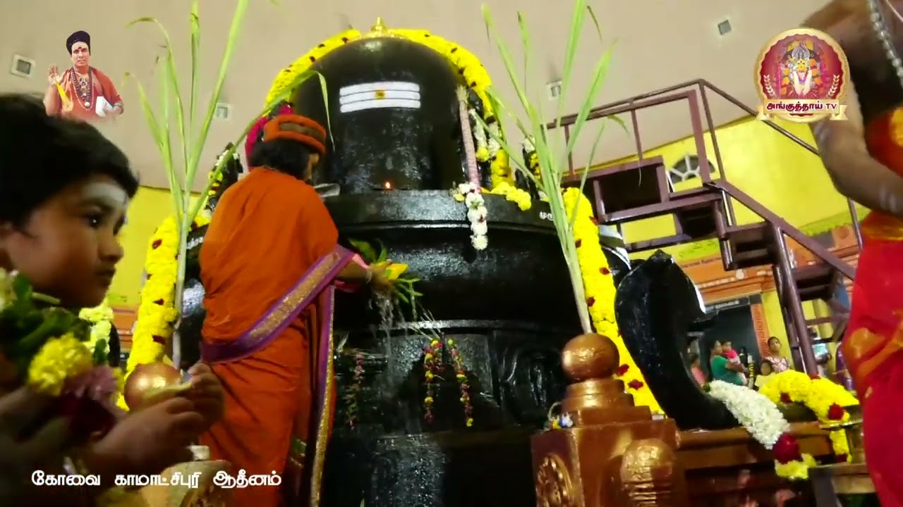 part 2#பல்லடம் சித்தம்பலத்தில் கோளாறு பதி நவகிரக கோட்டையில் மகா சிவராத்திரி திருவிழா