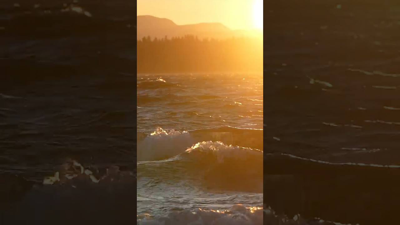 Escape into island vanlife on the BC coast 🌊 #vanlifecanada