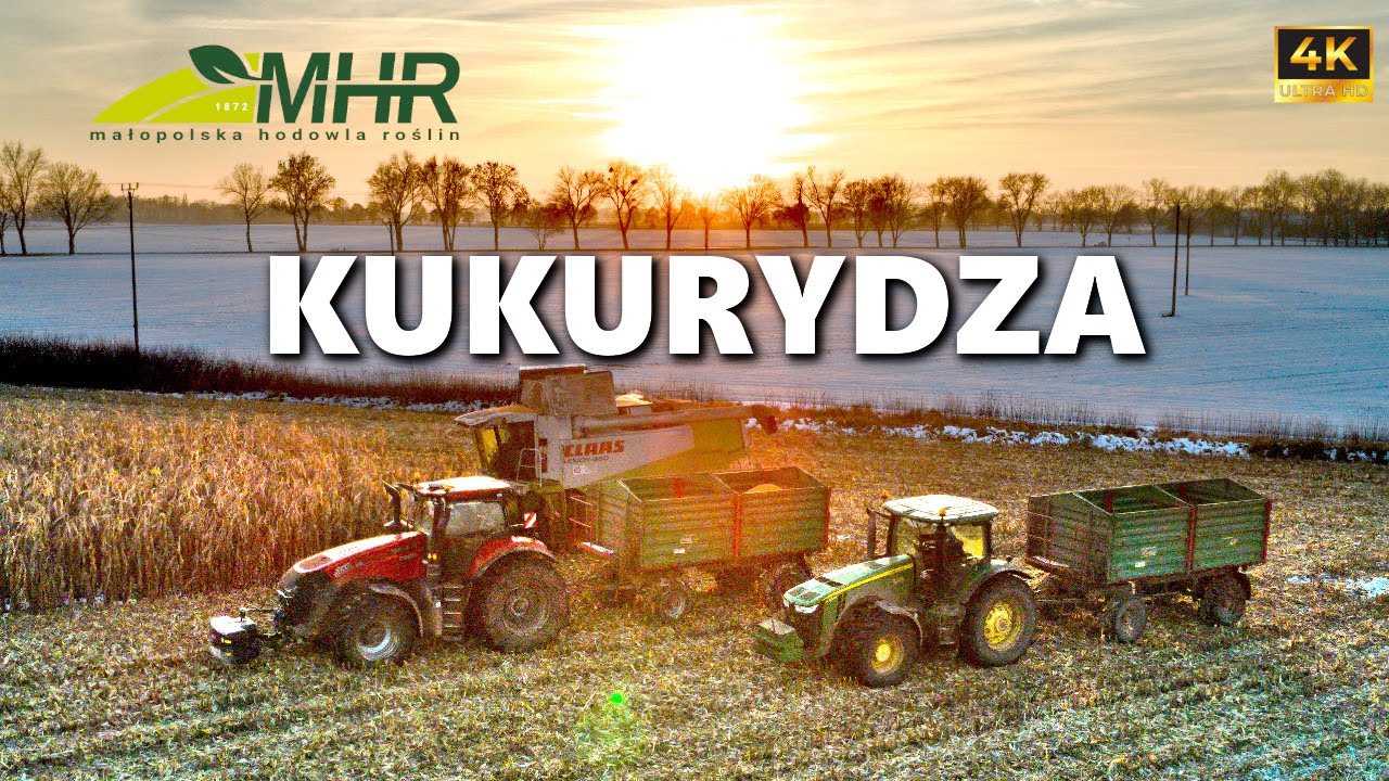 Żniwa Kukurydzy W Śniegu! MHR Henryków W Kobierzycach