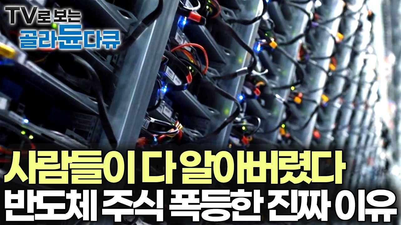 삼성전자 주식 계속 끌고 가도 될까? 시장을 흔드는 반도체 HBM 미래, AI 시대를 맞이하며 차세대 3차원 반도체 가능성｜취미는 과학｜#골라듄다큐