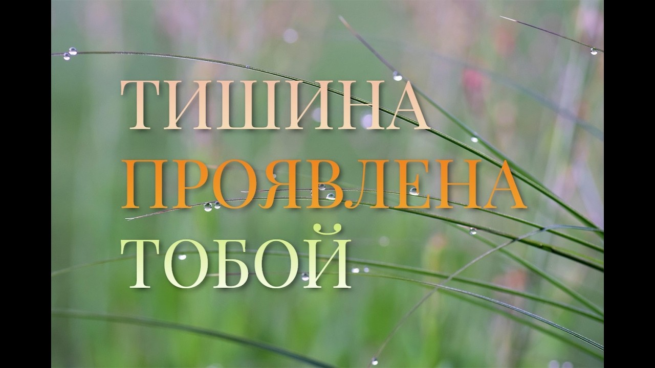 Тишина ума