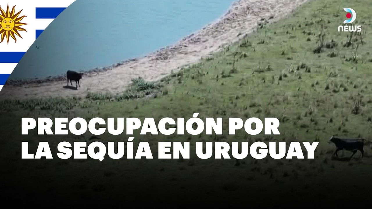 💧 Uruguay enfrenta una sequía prolongada que afecta el suministro de agua potable | DNews