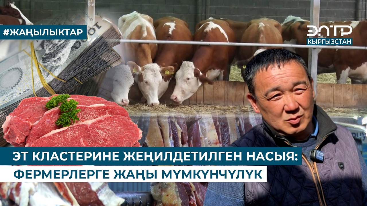 ЭТ КЛАСТЕРИНЕ ЖЕҢИЛДЕТИЛГЕН НАСЫЯ: ФЕРМЕРЛЕРГЕ ЖАҢЫ МҮМКҮНЧҮЛҮК