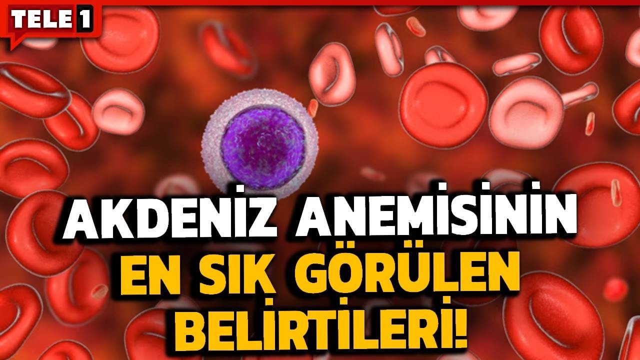 Akdeniz anemisi nasıl bir hastalıktır? Uzmanı detayları aktardı | SAĞLIK GÜNDEMİ