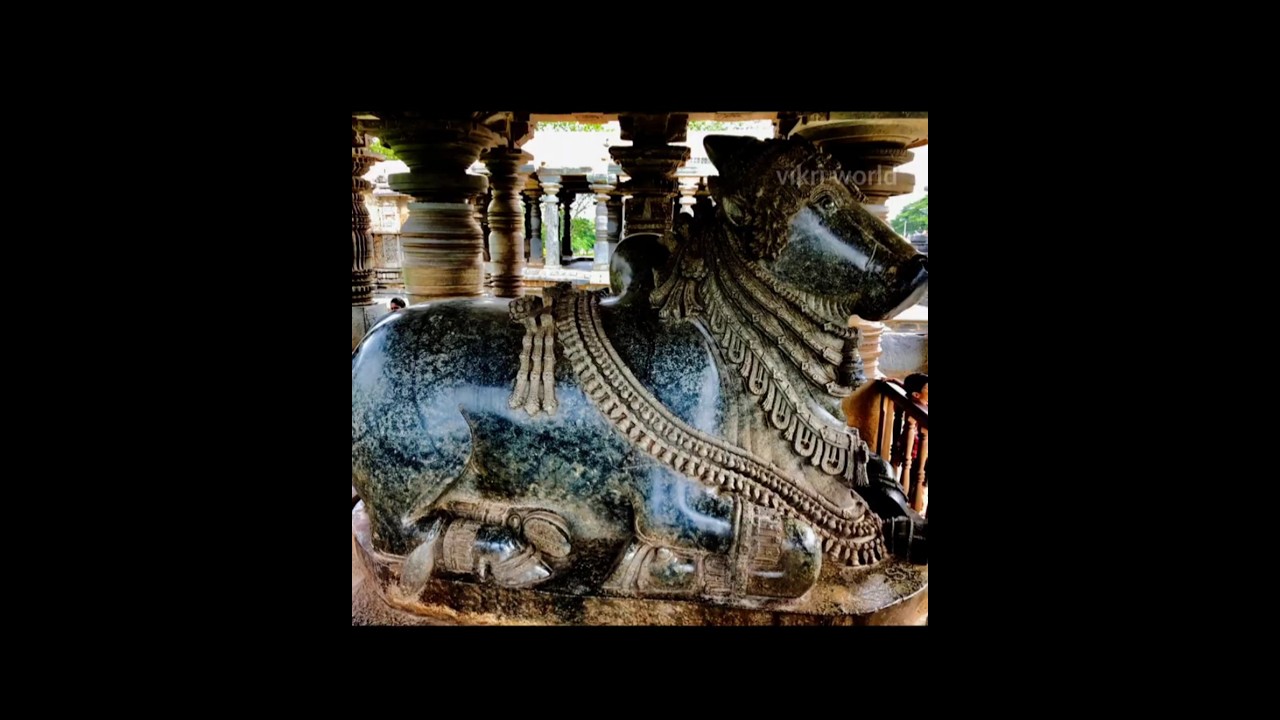 Brilliantly carved Nandi #hoysaleswaratemple #vikriworld #travel #telugu #history #facts #jaihind