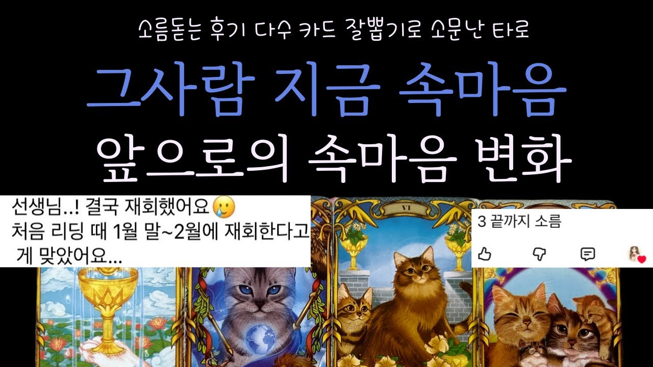 [타로카드]🥇그 사람 지금❤️속마음 이후 앞으로의 속마음 변화(모든관계대입가능)후기다수