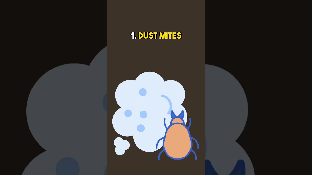 6 Most common triggers for an Asthma flare