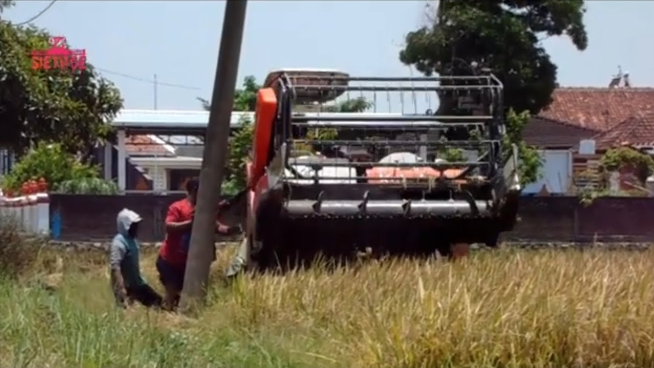 Kubota DCX 100,dilahan lumpur minim air‼️ #kubota #alatpertanian #alatmodern #agriculture