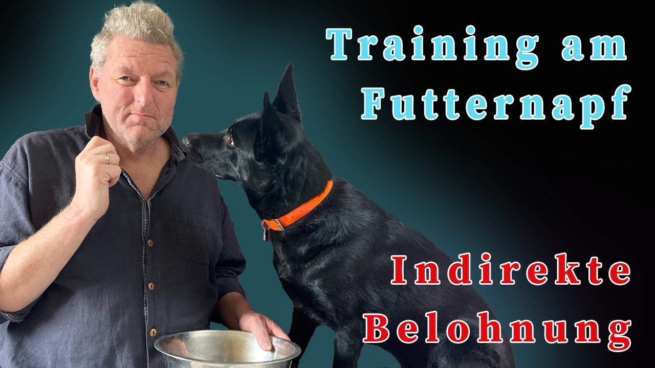 Training am Futternapf - Indirekte Belohnung