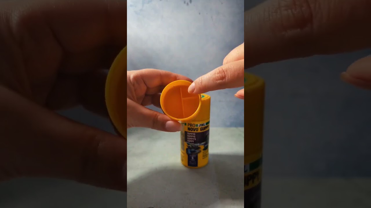 Pro Novo #guppy #JBL , #gupiki / short video | Pani Akwarystka