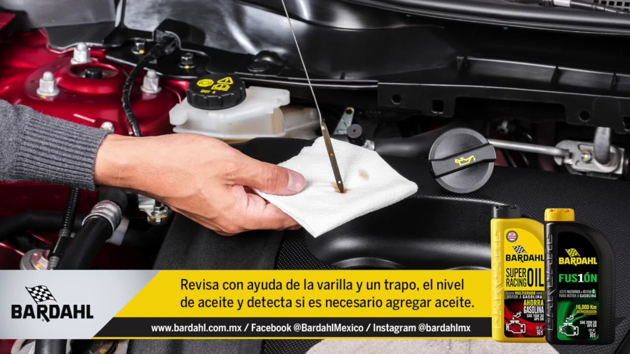 Revisi&oacute;n b&aacute;sica de niveles del auto