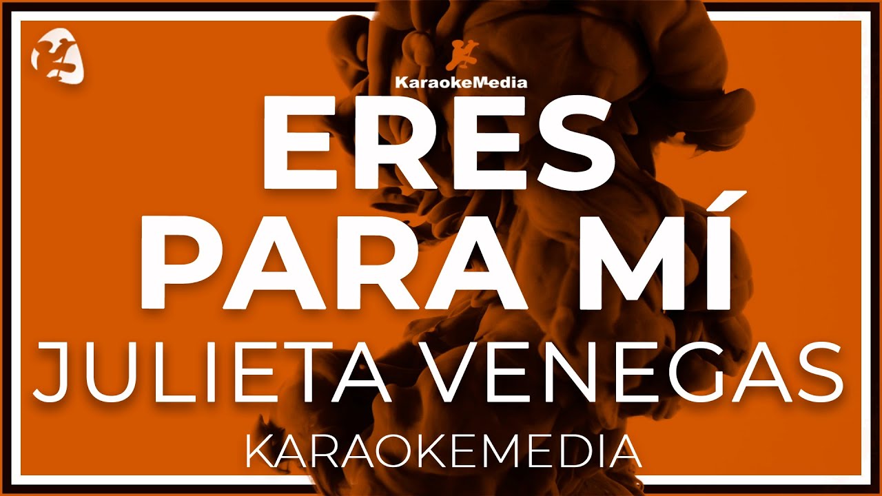 Julieta Venegas - Eres Para Mi ( INSTRUMENTAL KARAOKE )