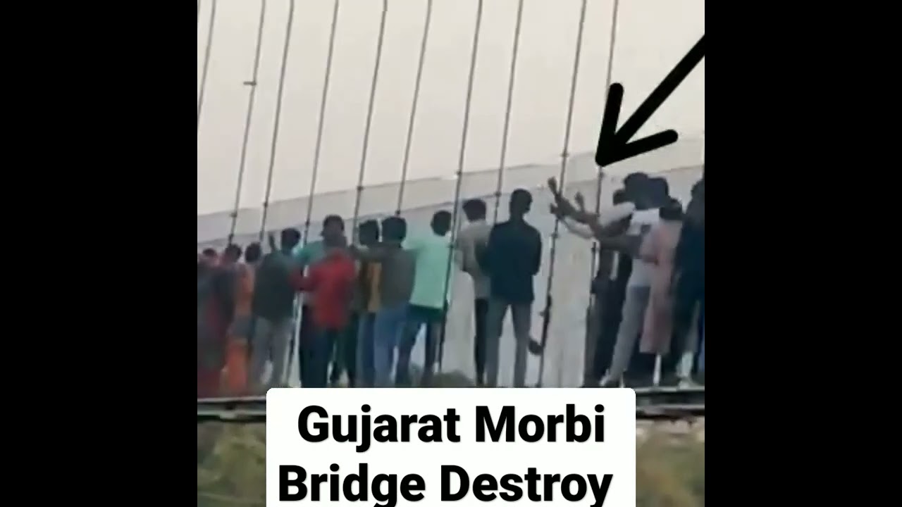 Morbi Bridge Collapse 😭।। Morbi Bridge Destroy Video।। Gujarat Morbi Bridge Accident Video Updates