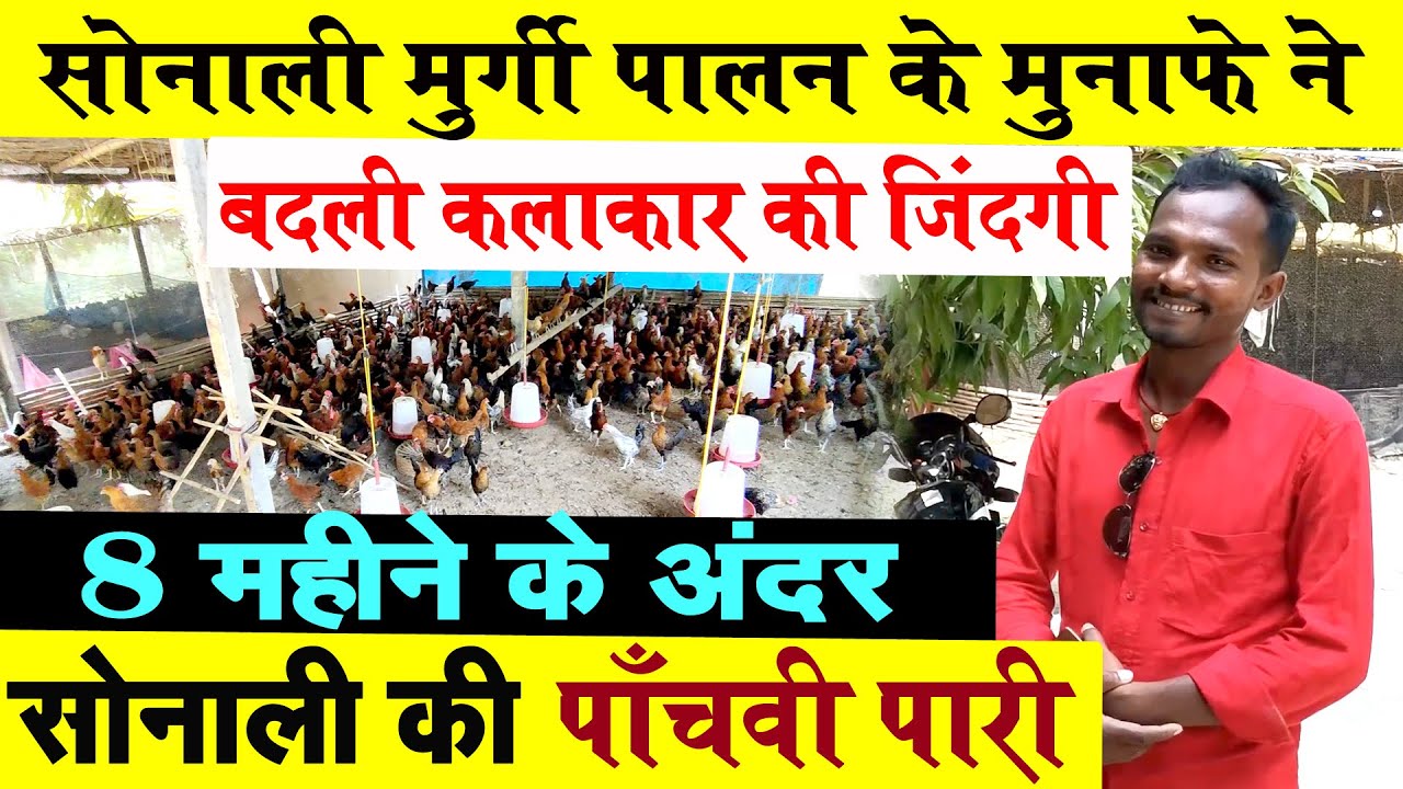 8 महीने में 5वीं बार Sonali Chicks डालने वाले Vaishali के युवा ने DESI MURGI PALAN में कमाल कर दिया