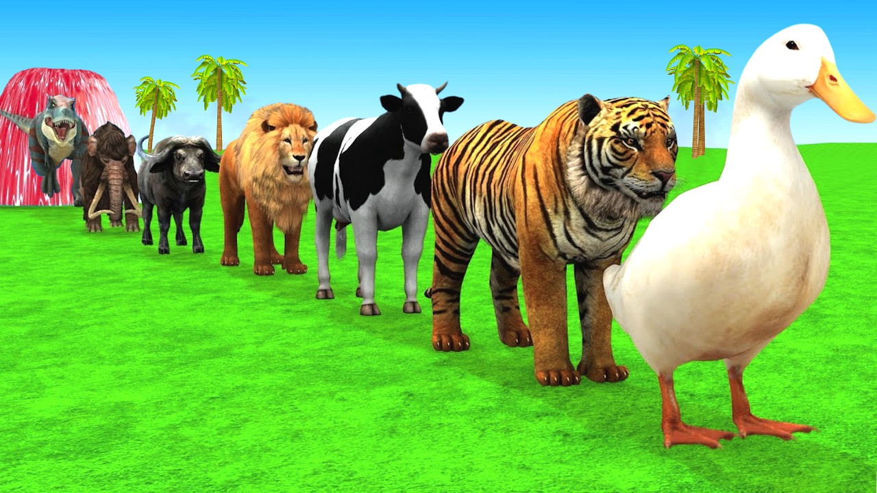 Long Slide Game With Cow Elephant Gorilla Hippopotamus Tiger 3d Animal Game Funny 3d AnimalsVideo