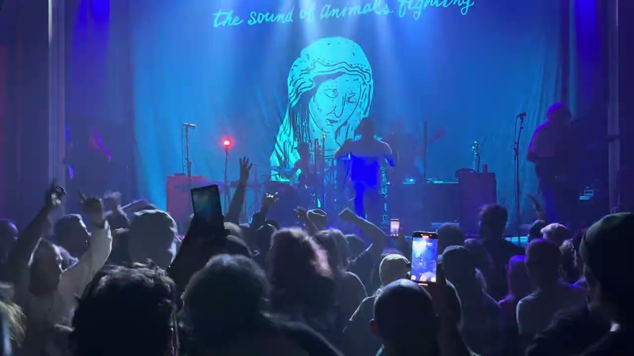 The Sound of Animals Fighting. Act 4: You don’t need a witness Live at Seattle Neptune Theatre 9/25