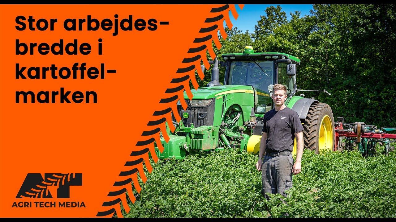 🇩🇰 Stor arbejdesbredde i kartoffelmarken
