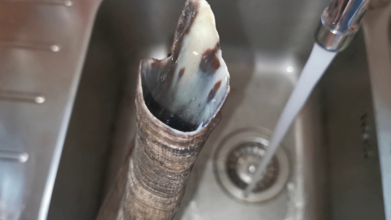 How to make a bukkehorn