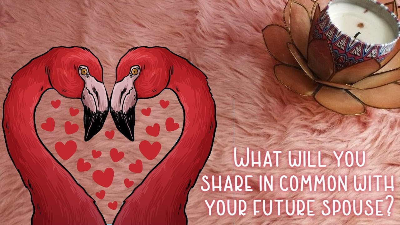 🌸🦩️What will you share in common with your future partner🌸🦩️ #tarot #pickacard 